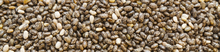 graines-chia-salvia-hispanica